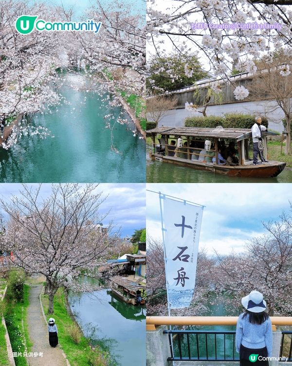 【日本櫻花2026】日本12個賞櫻秘境推介🌸東京/大阪/京都賞櫻景點+最新櫻花預測