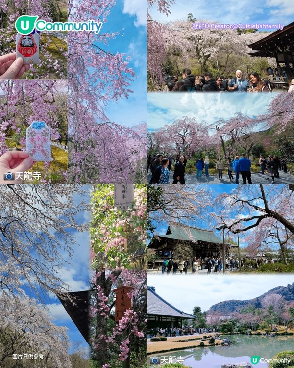 【日本櫻花2026】日本12個賞櫻秘境推介🌸東京/大阪/京都賞櫻景點+最新櫻花預測