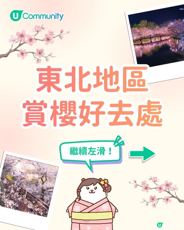 【日本櫻花2026】日本12個賞櫻秘境推介🌸東京/大阪/京都賞櫻景點+最新櫻花預測