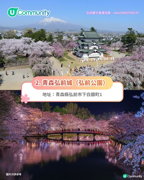 【日本櫻花2026】日本12個賞櫻秘境推介🌸東京/大阪/京都賞櫻景點+最新櫻花預測