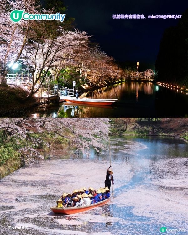 【日本櫻花2026】日本12個賞櫻秘境推介🌸東京/大阪/京都賞櫻景點+最新櫻花預測