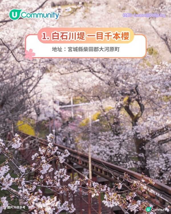 【日本櫻花2026】日本12個賞櫻秘境推介🌸東京/大阪/京都賞櫻景點+最新櫻花預測