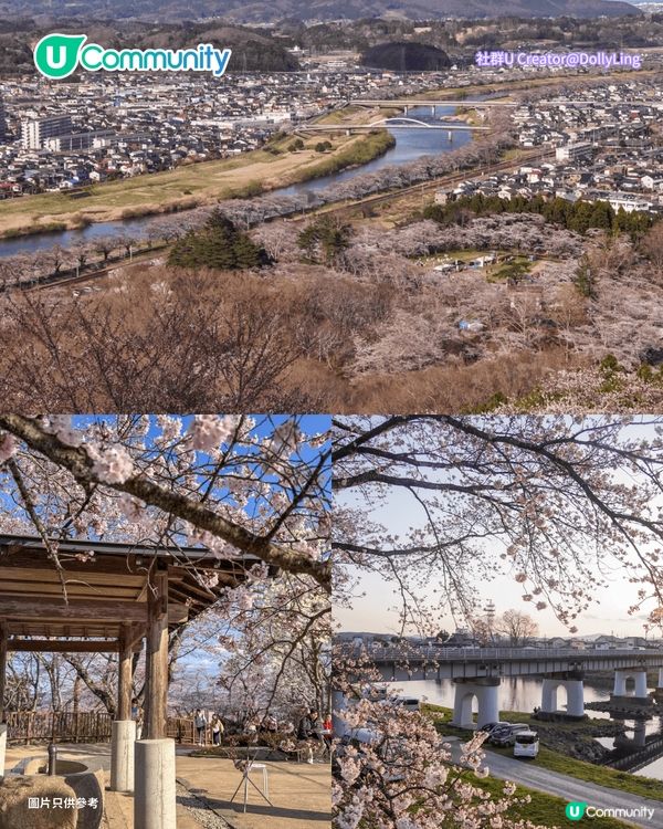 【日本櫻花2026】日本12個賞櫻秘境推介🌸東京/大阪/京都賞櫻景點+最新櫻花預測