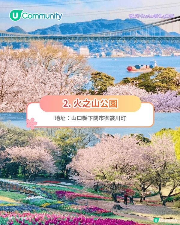 【日本櫻花2026】日本12個賞櫻秘境推介🌸東京/大阪/京都賞櫻景點+最新櫻花預測