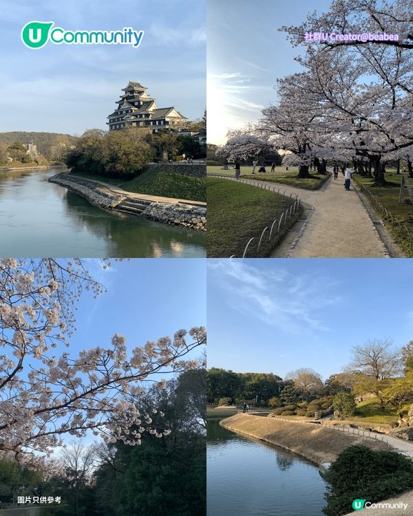 【日本櫻花2026】日本12個賞櫻秘境推介🌸東京/大阪/京都賞櫻景點+最新櫻花預測