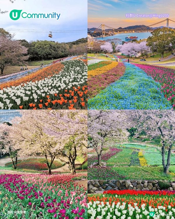 【日本櫻花2026】日本12個賞櫻秘境推介🌸東京/大阪/京都賞櫻景點+最新櫻花預測