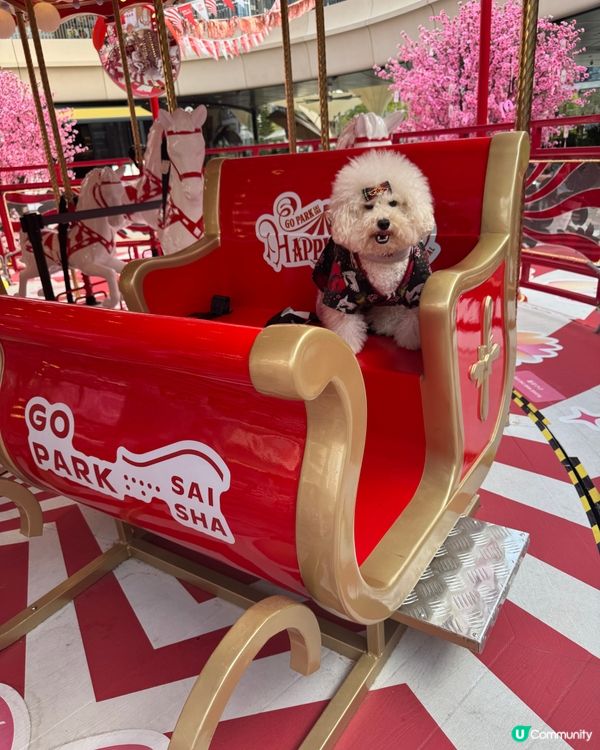 同媽媽第1次去西沙玩(,,>᎑#寵物友善