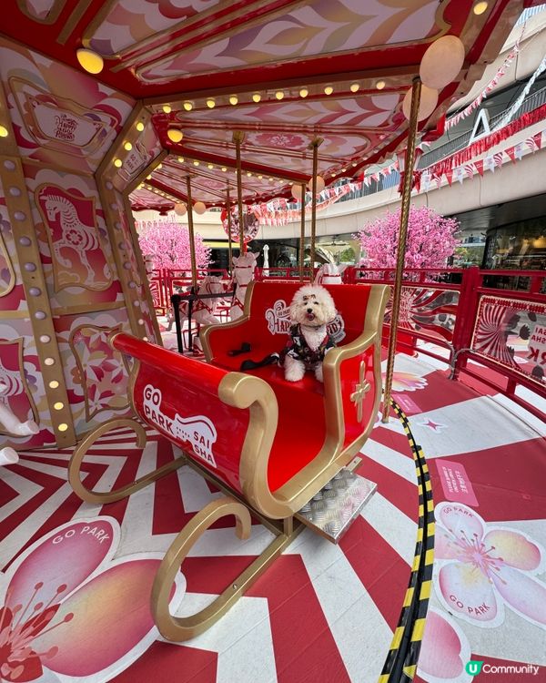 同媽媽第1次去西沙玩(,,>᎑#寵物友善