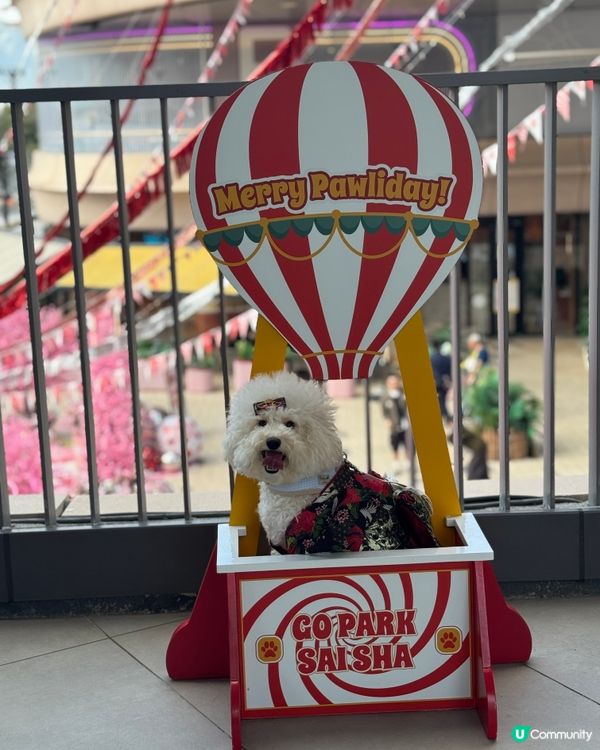 同媽媽第1次去西沙玩(,,>᎑#寵物友善