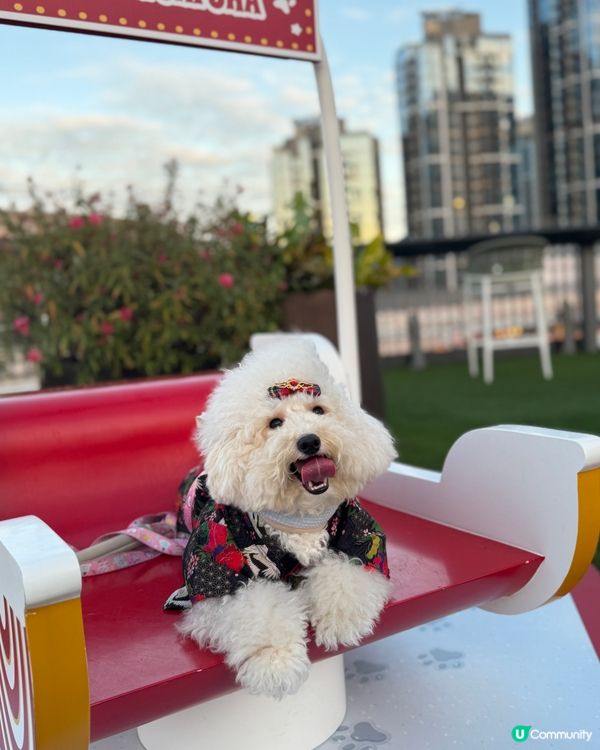 同媽媽第1次去西沙玩(,,>᎑#寵物友善