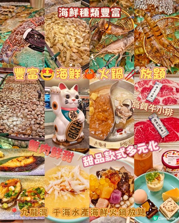 豐富🤩海鮮🦀火鍋🥢放題