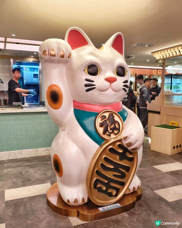 豐富🤩海鮮🦀火鍋🥢放題