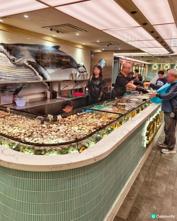 豐富🤩海鮮🦀火鍋🥢放題