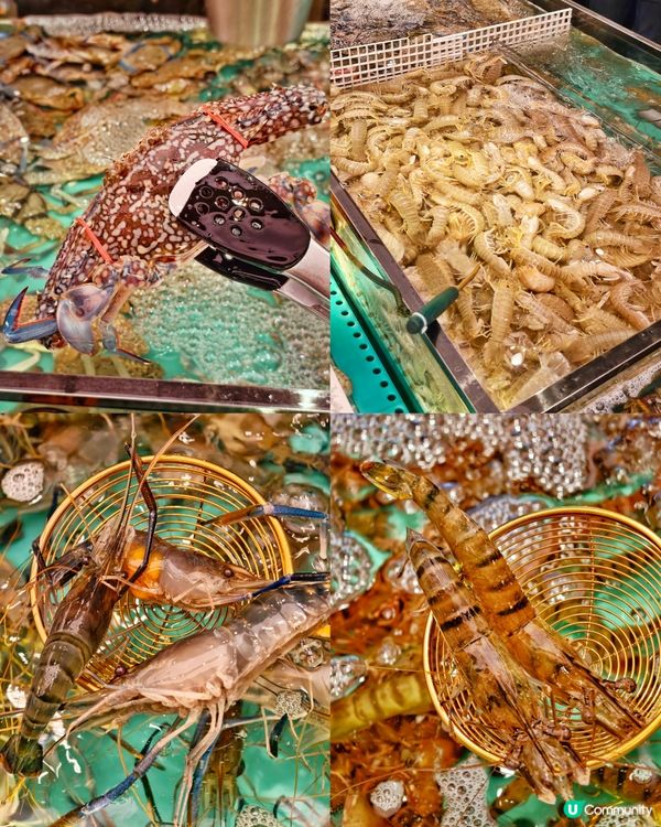 豐富🤩海鮮🦀火鍋🥢放題