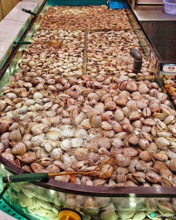 豐富🤩海鮮🦀火鍋🥢放題