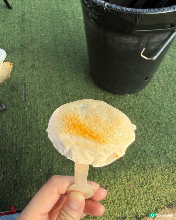 大欖BBQ👍🏻👍🏻