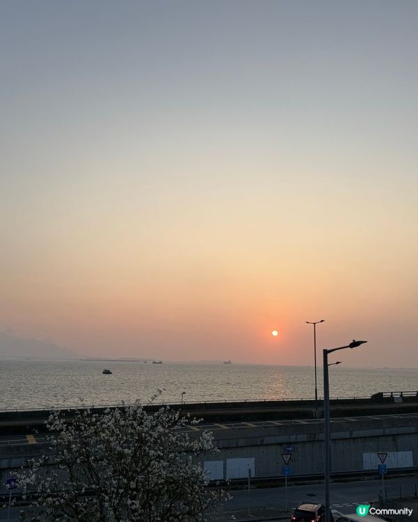 大欖BBQ👍🏻👍🏻