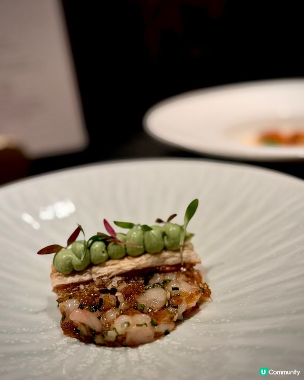 CP值高法日fusions 菜