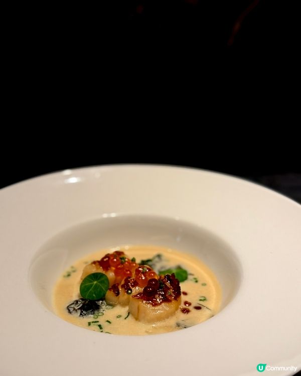 CP值高法日fusions 菜