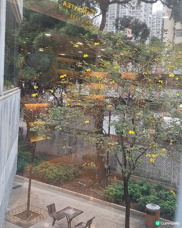 大埔安祥路