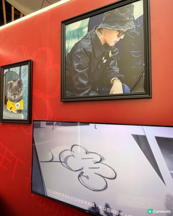 G-Dragon 貓貓ZOA限定店🚨(至3月31日)🐾😻