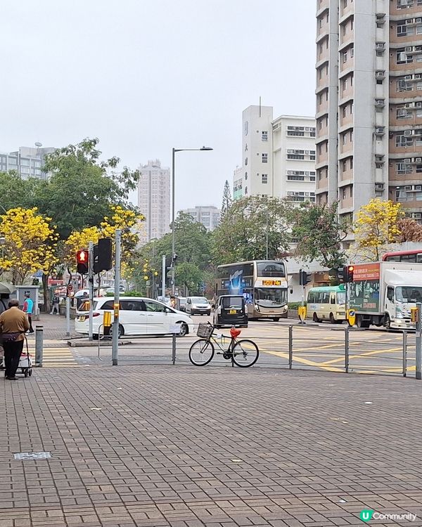 大埔安祥路