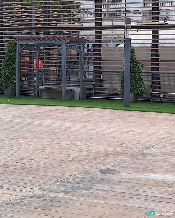 大埔文青打卡點