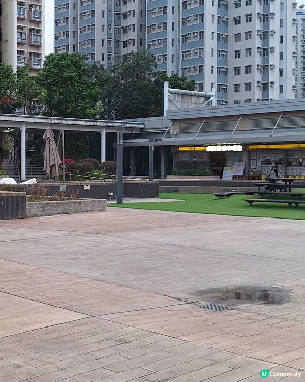 大埔文青打卡點