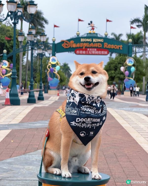 dogathon2026全城狗狗行善日 