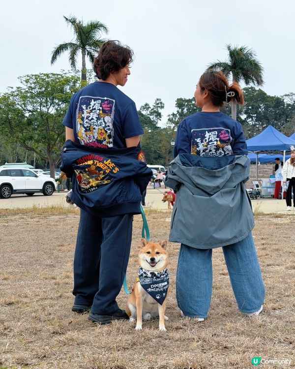 dogathon2026全城狗狗行善日 