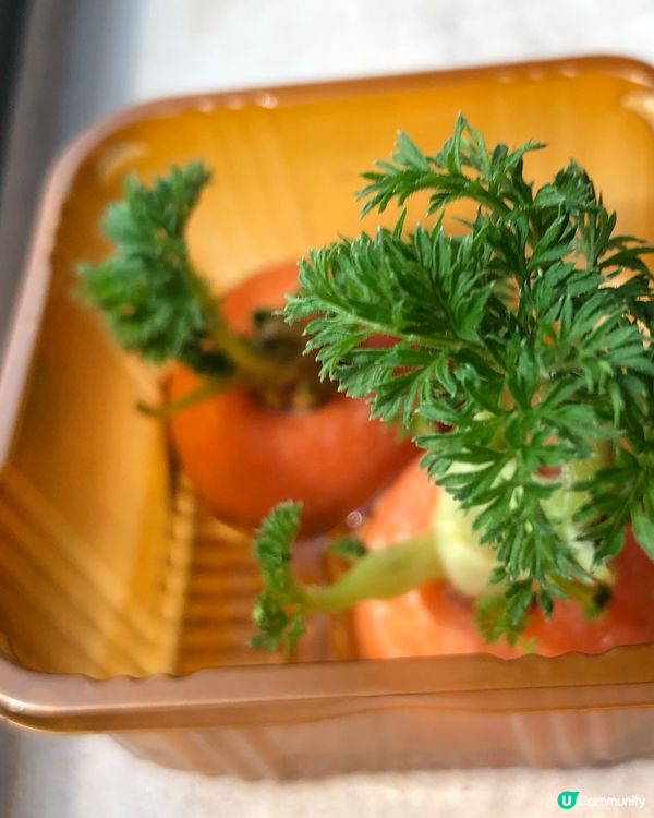 甘荀種植秘笈🥕🌱💚