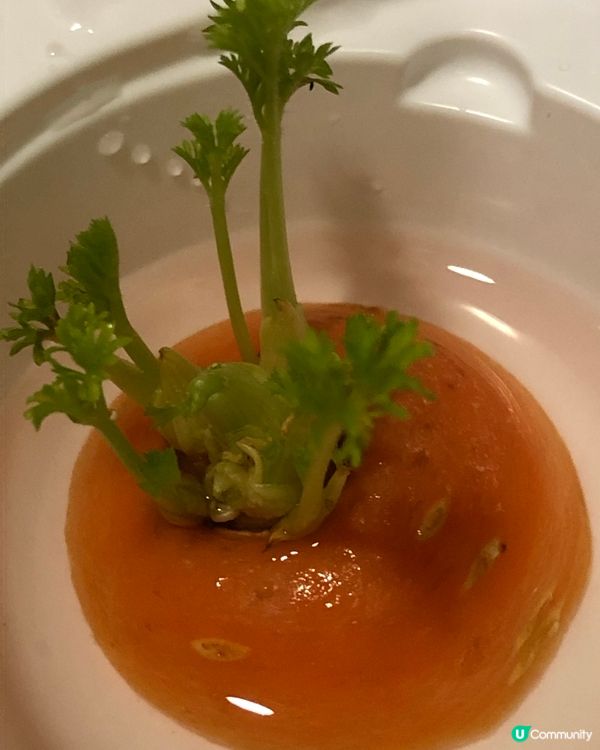 甘荀種植秘笈🥕🌱💚