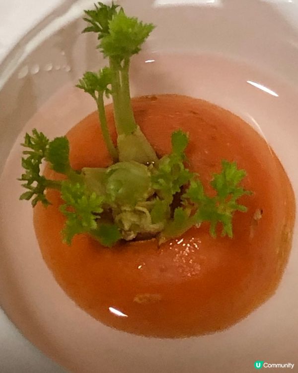 甘荀種植秘笈🥕🌱💚