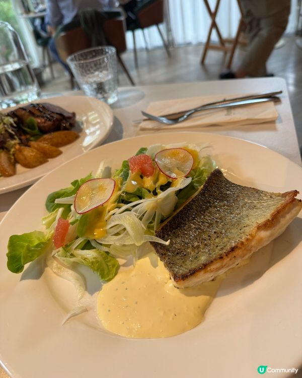 公園內優雅小瀑布景觀西餐