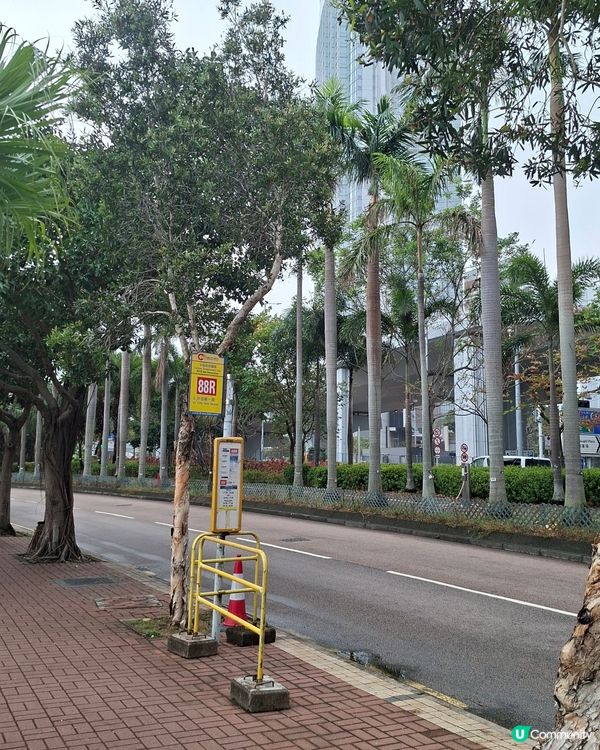 【運動】13K海濱長跑！維港景色💯🏃（1/2）