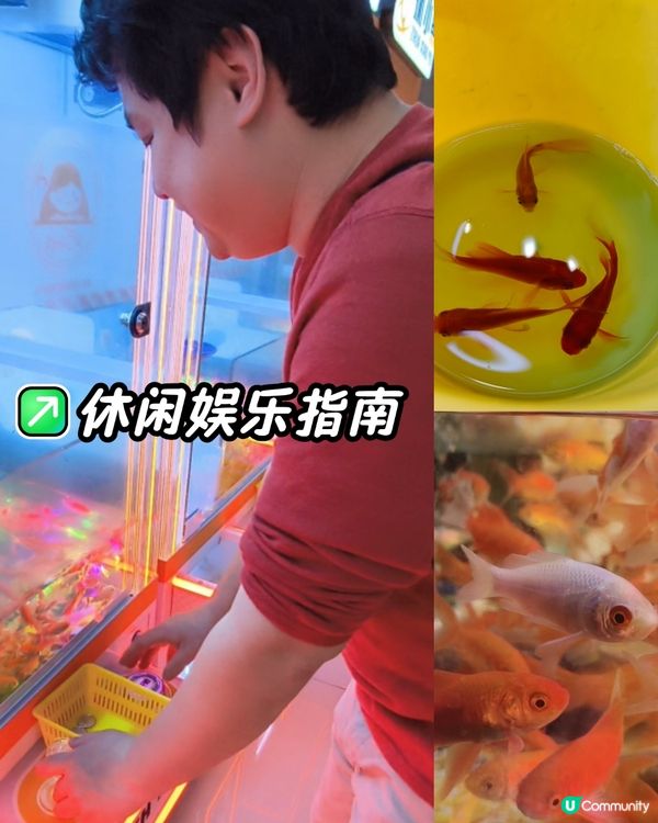 抓小魚真有趣