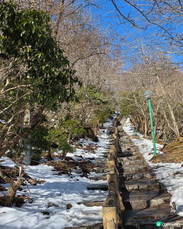別府纜車帶你看四季自然美景