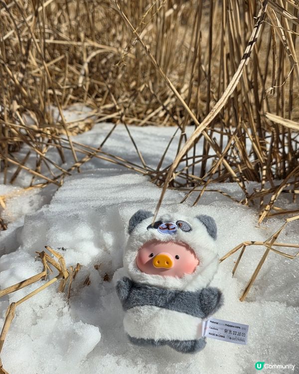 別府纜車帶你看四季自然美景