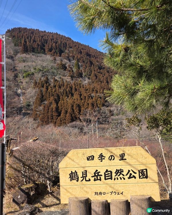 別府纜車帶你看四季自然美景