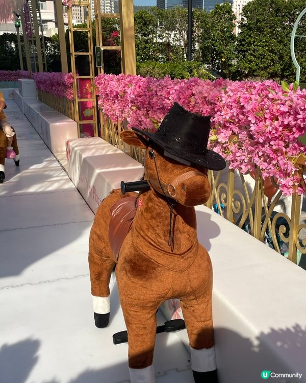 荃灣廣場～甜蜜櫻花季