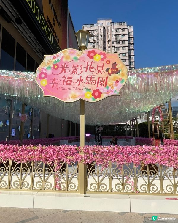 荃灣廣場～甜蜜櫻花季