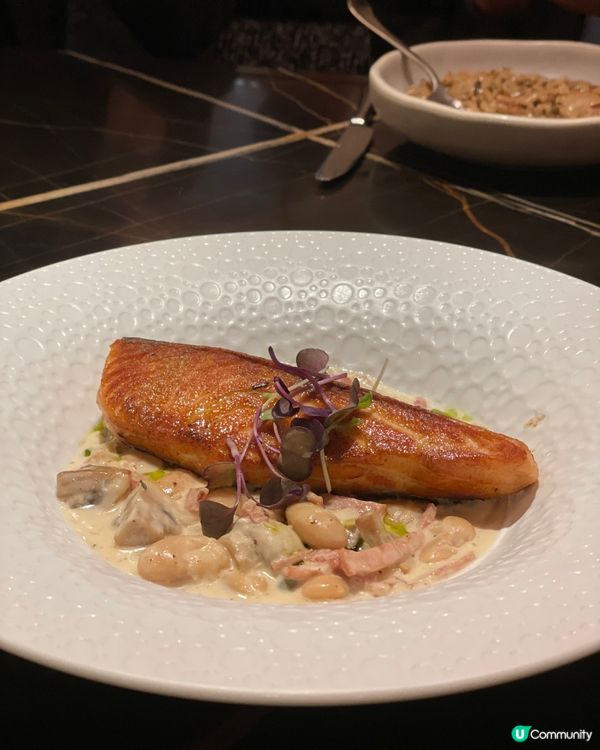 銅鑼灣輕鬆午餐！🍣🥗😋