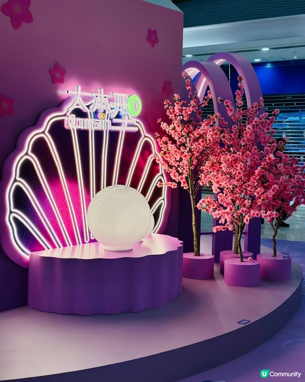 飛馬海豚打卡好靚🦄🐬📸