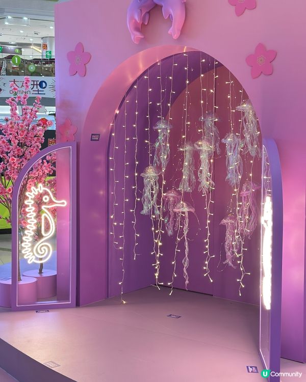 飛馬海豚打卡好靚🦄🐬📸