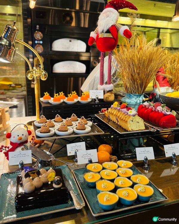 睇馬場景食飯💸🌿