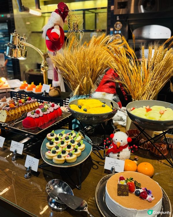 睇馬場景食飯💸🌿