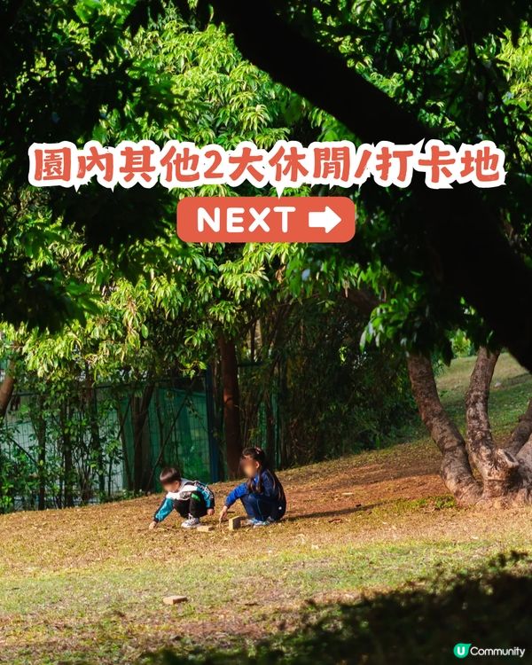 深圳2000㎡月季花海🌸萬株齊放! 被稱為寶安區「莫奈花園」