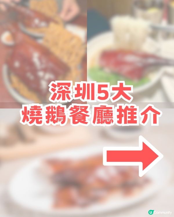 深圳5大美味燒鵝餐廳！燒鵝伊麵/燒鵝腿布拉腸/燒鵝瀨粉