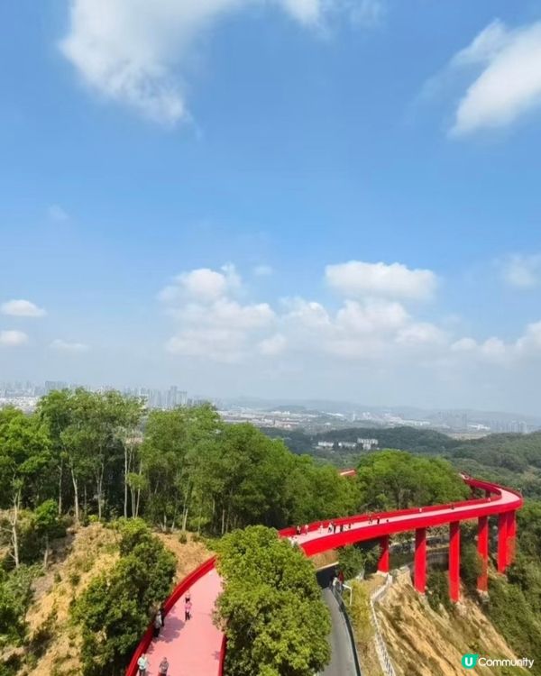 虹橋公園靚景🏞️ | 自駕遊攻略📝