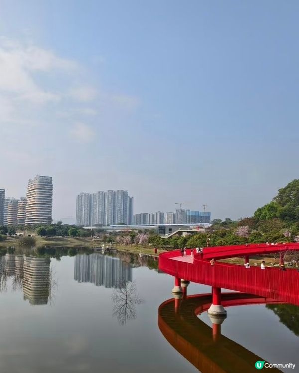 虹橋公園靚景🏞️ | 自駕遊攻略📝